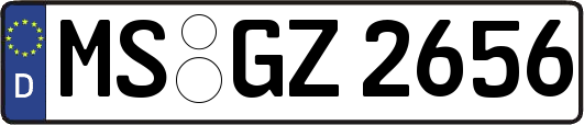 MS-GZ2656