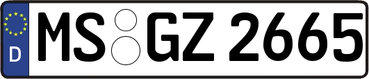 MS-GZ2665