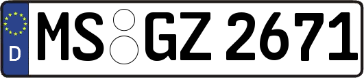 MS-GZ2671