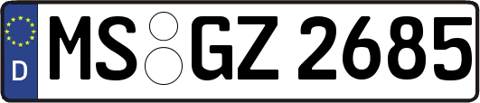 MS-GZ2685