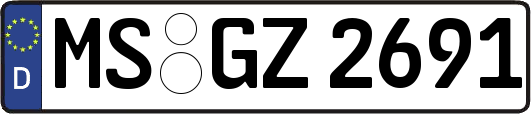 MS-GZ2691