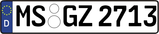 MS-GZ2713