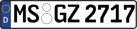 MS-GZ2717