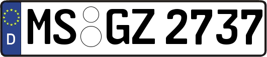 MS-GZ2737