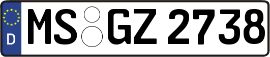 MS-GZ2738