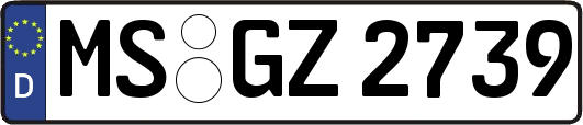 MS-GZ2739
