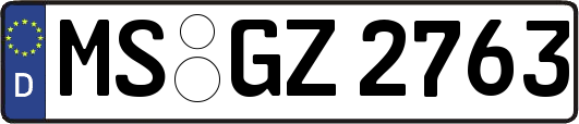 MS-GZ2763