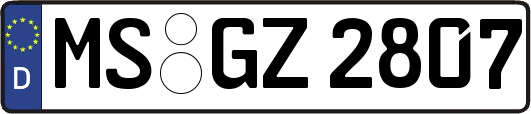 MS-GZ2807