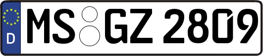 MS-GZ2809