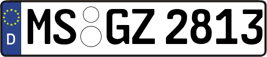MS-GZ2813