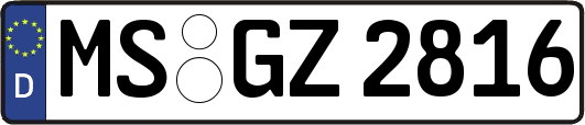 MS-GZ2816