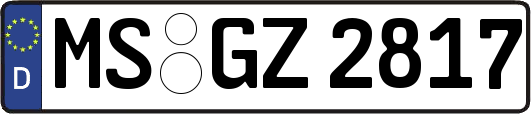 MS-GZ2817