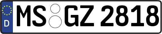 MS-GZ2818