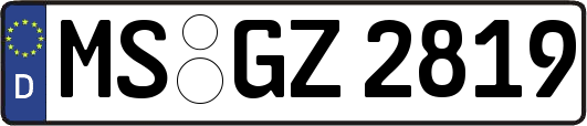 MS-GZ2819