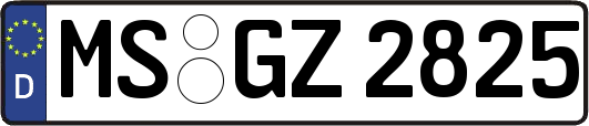 MS-GZ2825