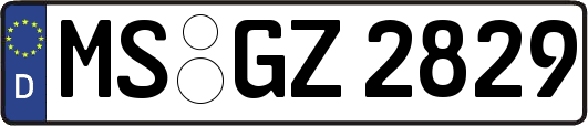 MS-GZ2829