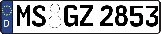 MS-GZ2853