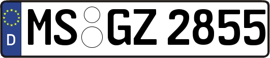 MS-GZ2855
