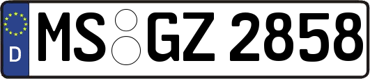 MS-GZ2858