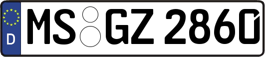 MS-GZ2860