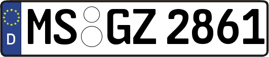 MS-GZ2861