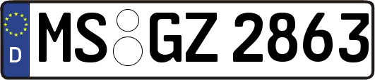 MS-GZ2863