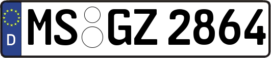 MS-GZ2864