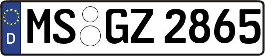MS-GZ2865