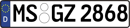 MS-GZ2868