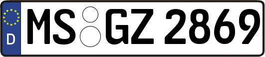 MS-GZ2869