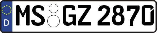 MS-GZ2870