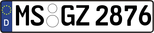 MS-GZ2876