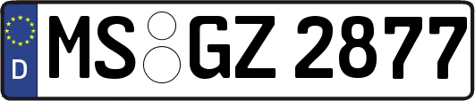 MS-GZ2877
