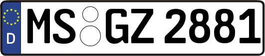 MS-GZ2881