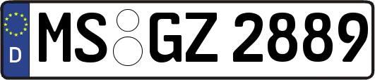 MS-GZ2889