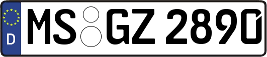 MS-GZ2890
