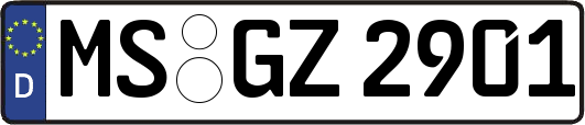 MS-GZ2901