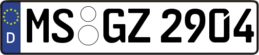 MS-GZ2904