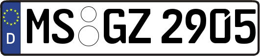 MS-GZ2905