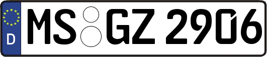 MS-GZ2906