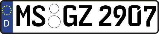 MS-GZ2907
