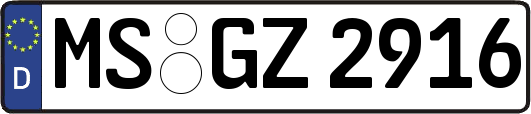 MS-GZ2916