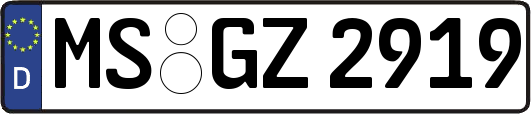 MS-GZ2919