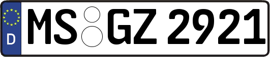 MS-GZ2921