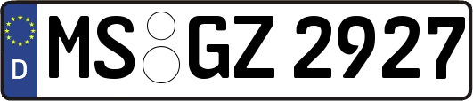 MS-GZ2927