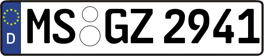 MS-GZ2941