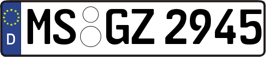 MS-GZ2945