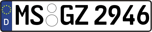 MS-GZ2946