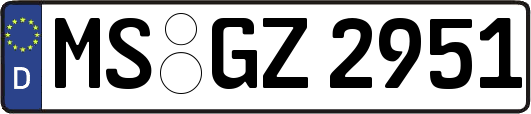 MS-GZ2951
