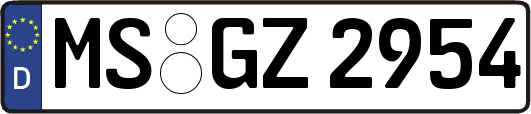 MS-GZ2954